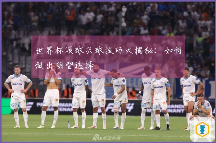 世界杯滚球买球技巧大揭秘：如何做出明智选择
