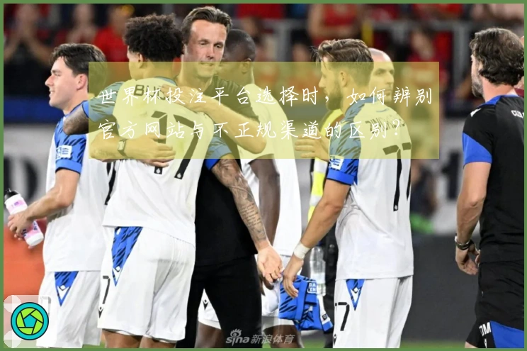 世界杯投注平台选择时，如何辨别官方网站与不正规渠道的区别？