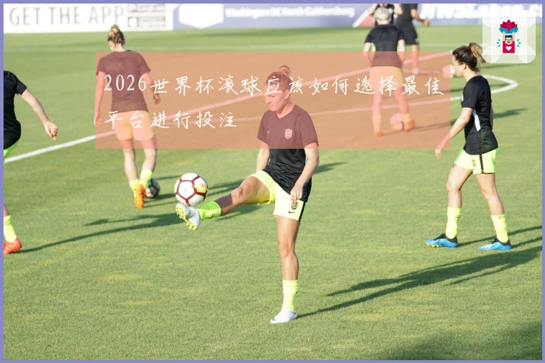 2026世界杯滚球应该如何选择最佳平台进行投注