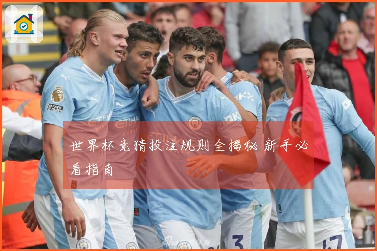 世界杯竞猜投注规则全揭秘 新手必看指南