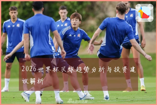 2026世界杯买球趋势分析与投资建议解析