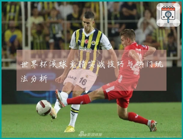 世界杯滚球竞猜实战技巧与热门玩法分析