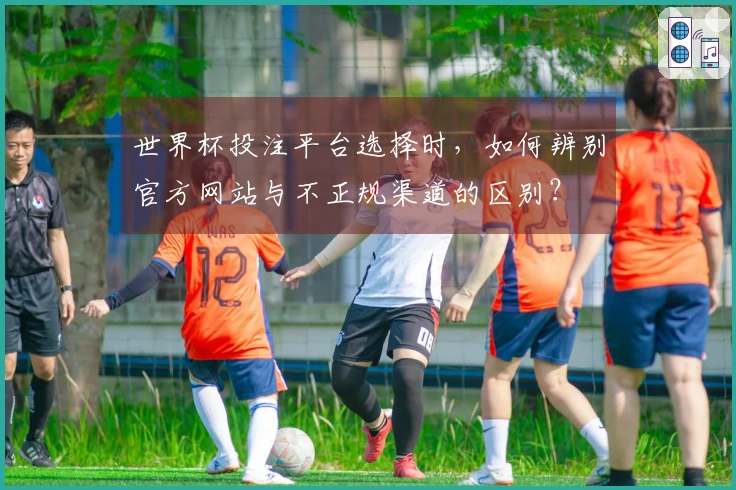 世界杯投注平台选择时，如何辨别官方网站与不正规渠道的区别？