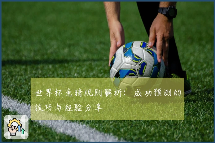 世界杯竞猜规则解析：成功预测的技巧与经验分享