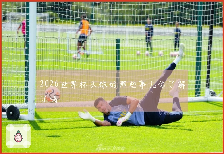 2026世界杯买球的那些事儿你了解了吗