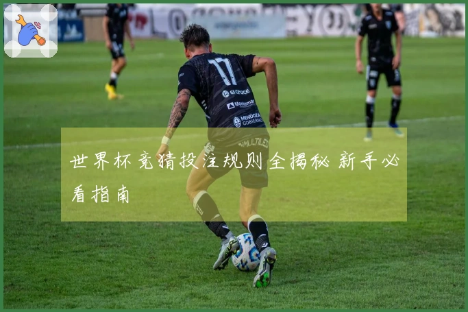 世界杯竞猜投注规则全揭秘 新手必看指南