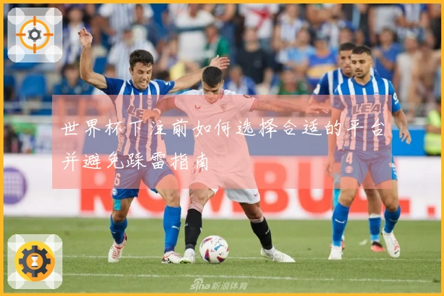 世界杯下注前如何选择合适的平台并避免踩雷指南