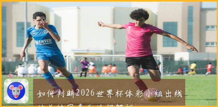 如何判断2026世界杯体彩小组出线的关键因素和流程解析