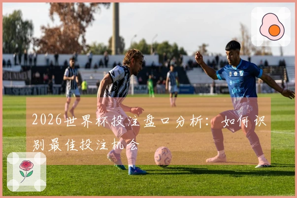 2026世界杯投注盘口分析：如何识别最佳投注机会