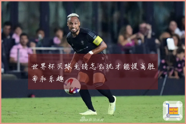 世界杯买球竞猜怎么玩才能提高胜率和乐趣