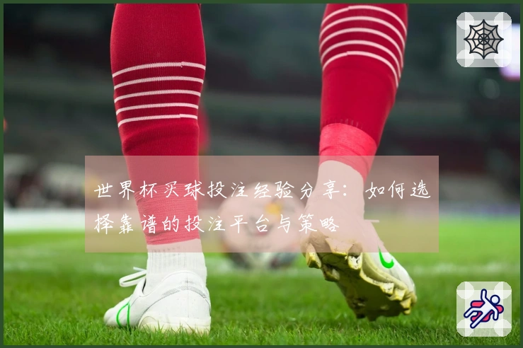 世界杯买球投注经验分享：如何选择靠谱的投注平台与策略