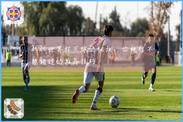 2026世界杯买球的秘诀，你绝对不能错过的推荐技巧