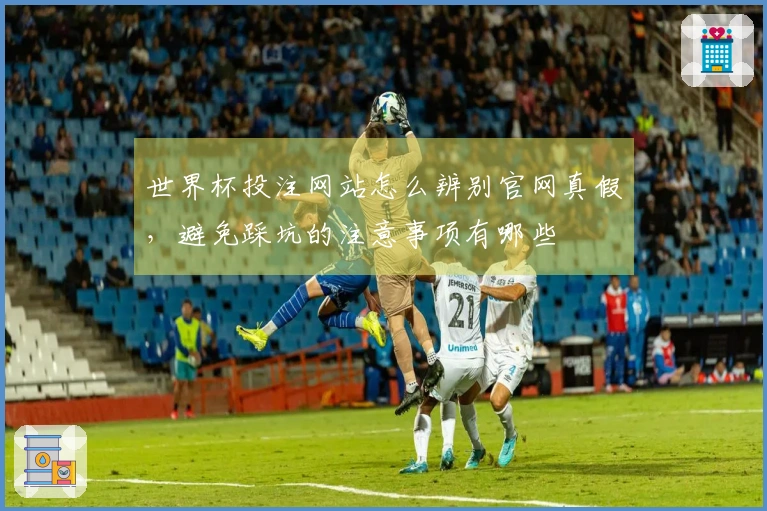 世界杯投注网站怎么辨别官网真假，避免踩坑的注意事项有哪些